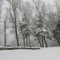 DSCN4611