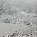DSCN4629