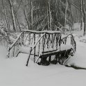 DSCN4631