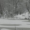 DSCN4637