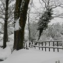 DSCN4638