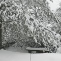 DSCN4639