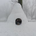 DSCN4670