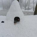 DSCN4673