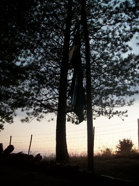 100_0891.JPG
