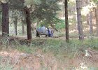 DSCN0036