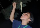 DSCN0089