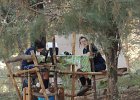 DSCN0141