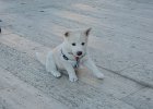 DSCN0355