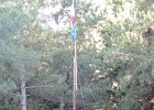 DSCN0367
