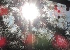 DSCN0680
