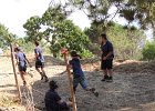 DSCN0729