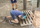 DSCN1193