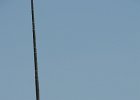 DSCN1495