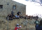 DSCN1744