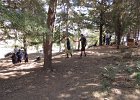 DSCN2106