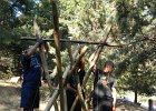 DSCN7135