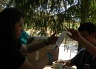DSCN7180