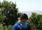 DSCN7290
