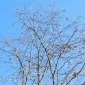 DSCN0780