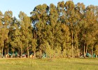 DSCN5108