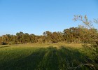 DSCN5109