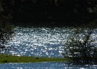 DSCN5275