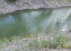DSCN5368