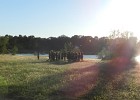 DSCN5370