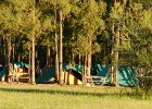 DSCN5380
