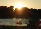 DSCN5394