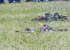 DSCN5441