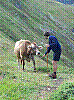 Immagine 046.jpg