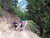 Immagine 260.jpg