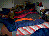 Immagine 274.jpg