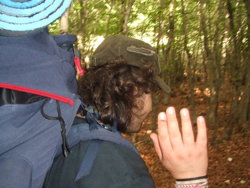 110.JPG