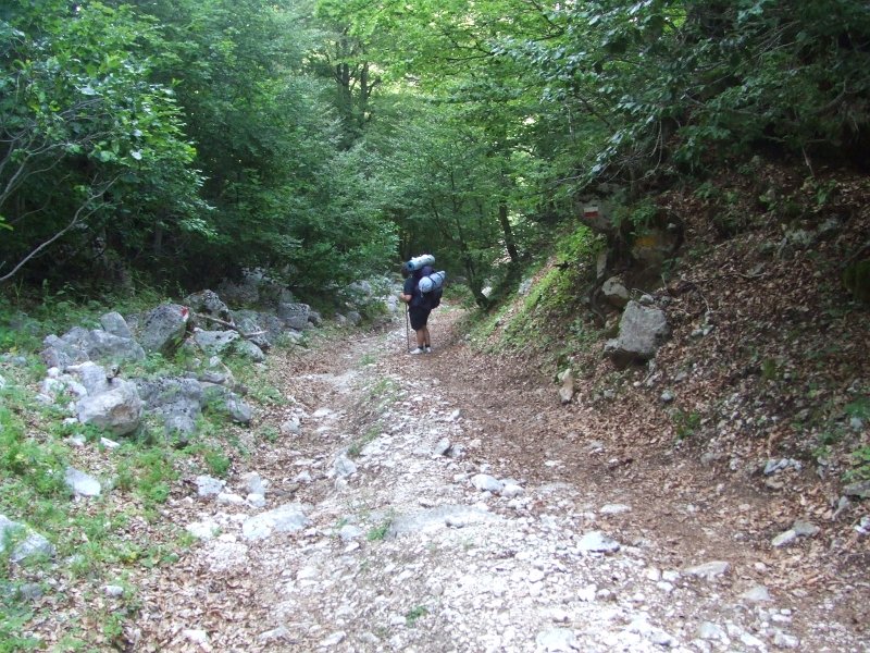 114.JPG