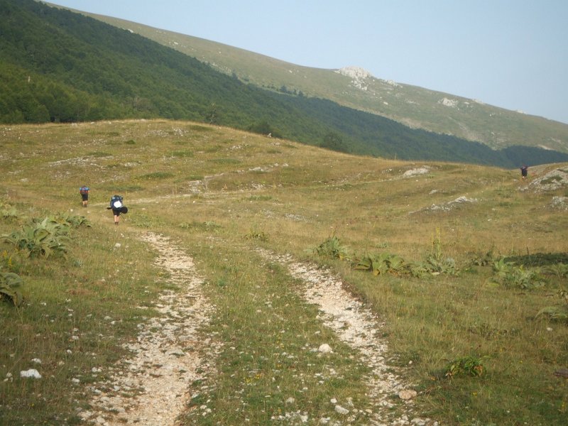 116.JPG