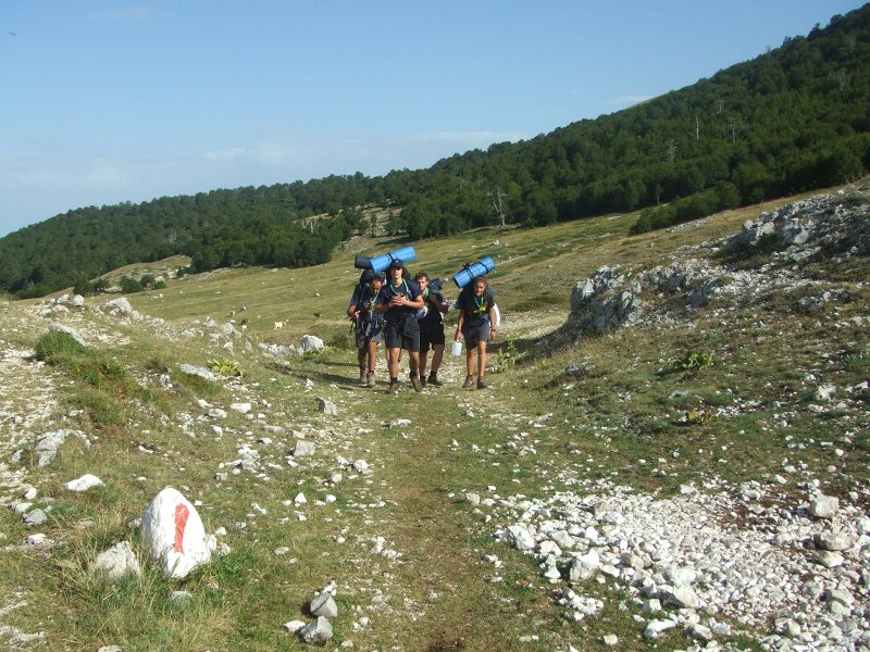154.JPG