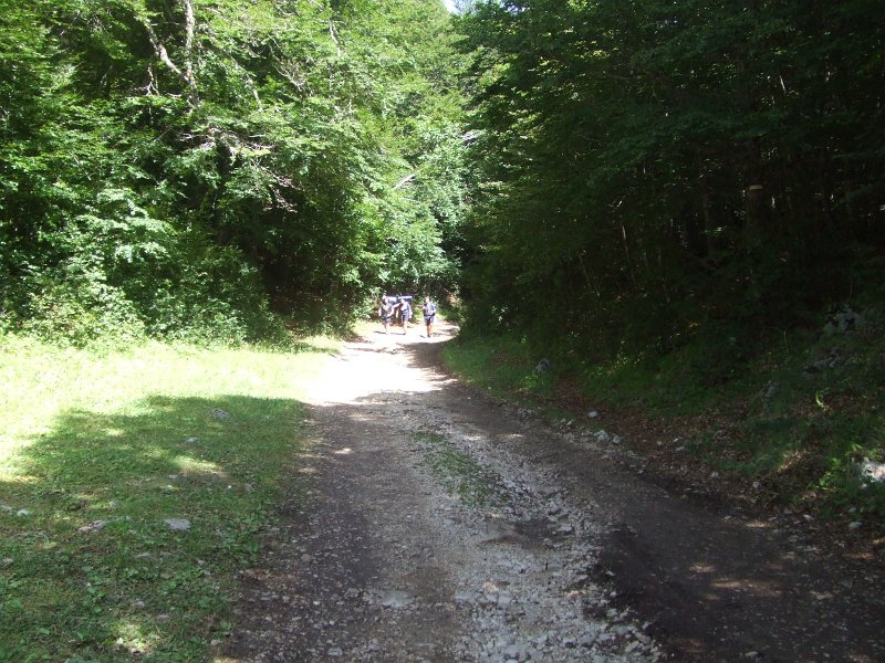 177.JPG