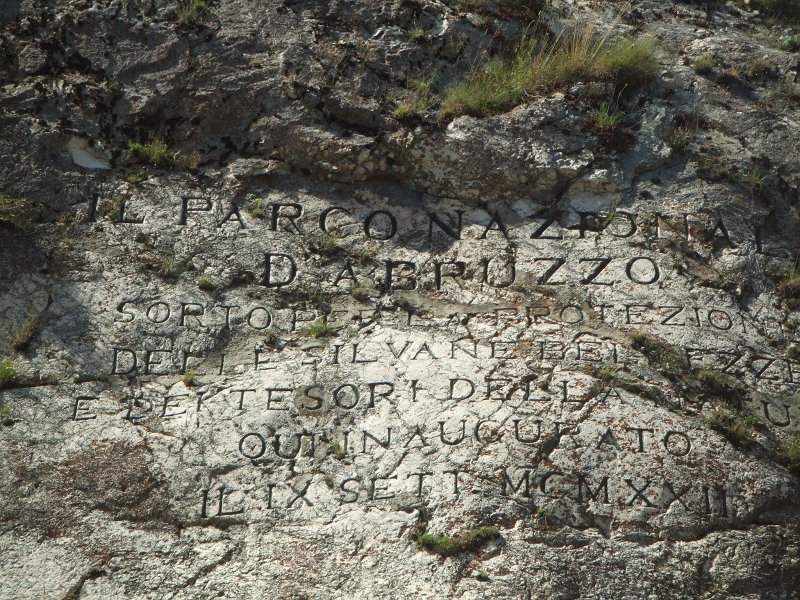 206.JPG