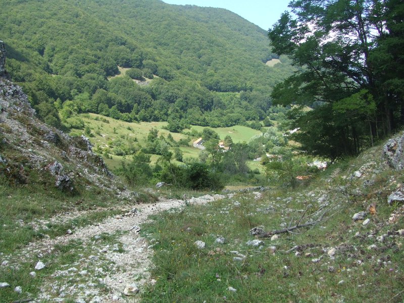 357.JPG