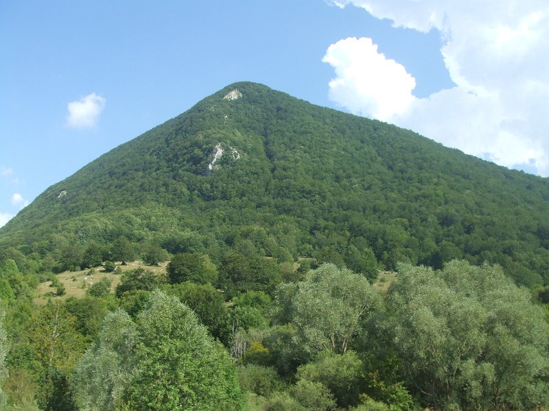 436.JPG