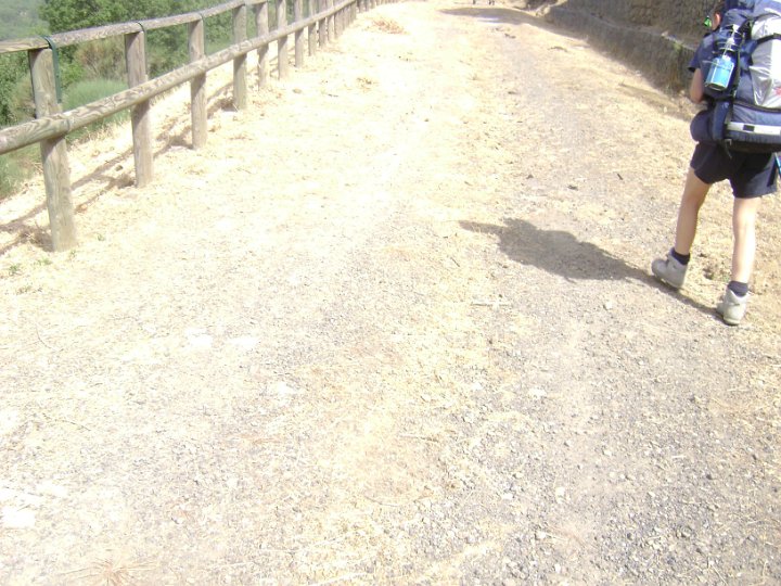 DSC07082.JPG