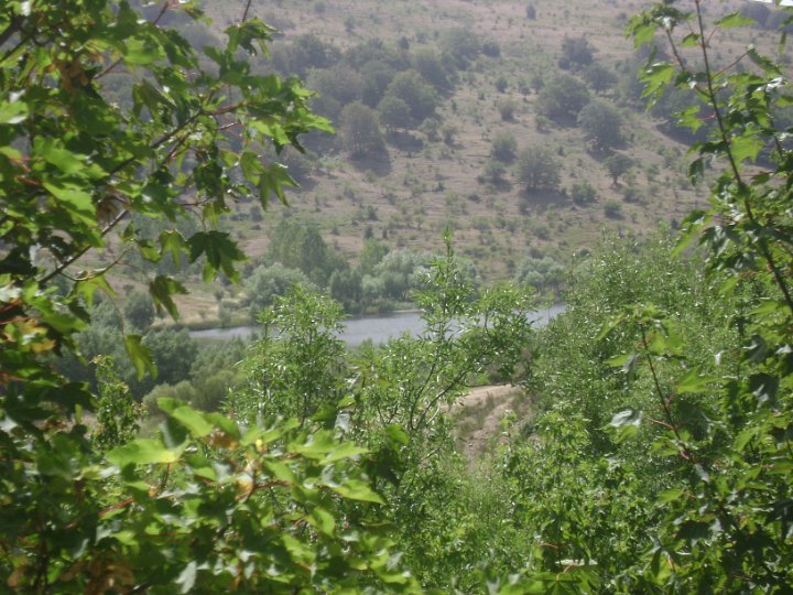 DSC07144.JPG