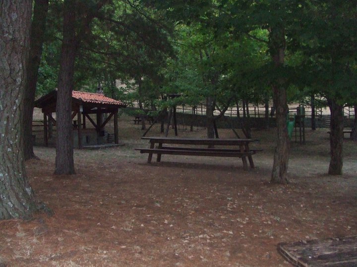 DSCF5777.JPG