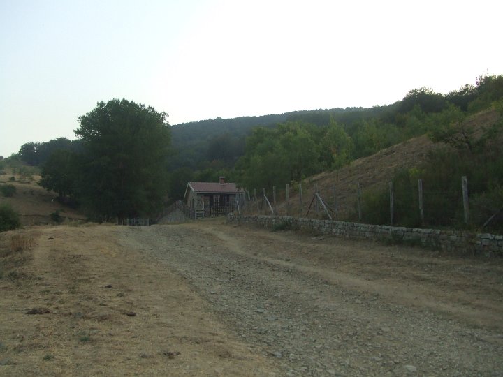 DSCF5863.JPG