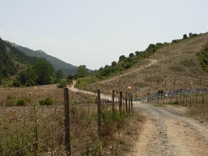 DSCN2683.JPG
