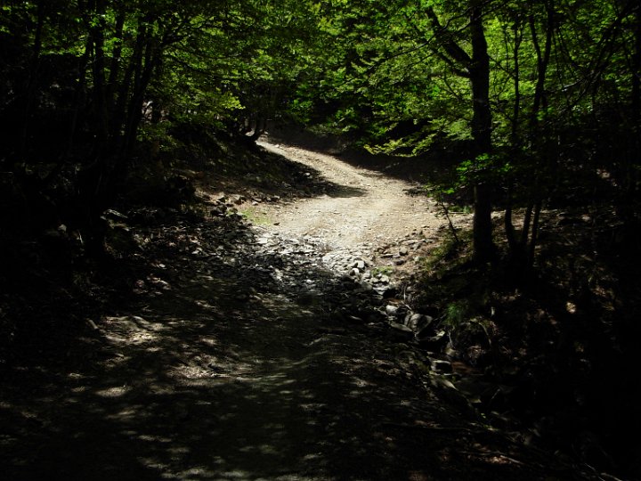 DSCN2866.JPG