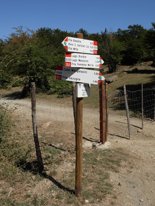 DSCN2891.JPG